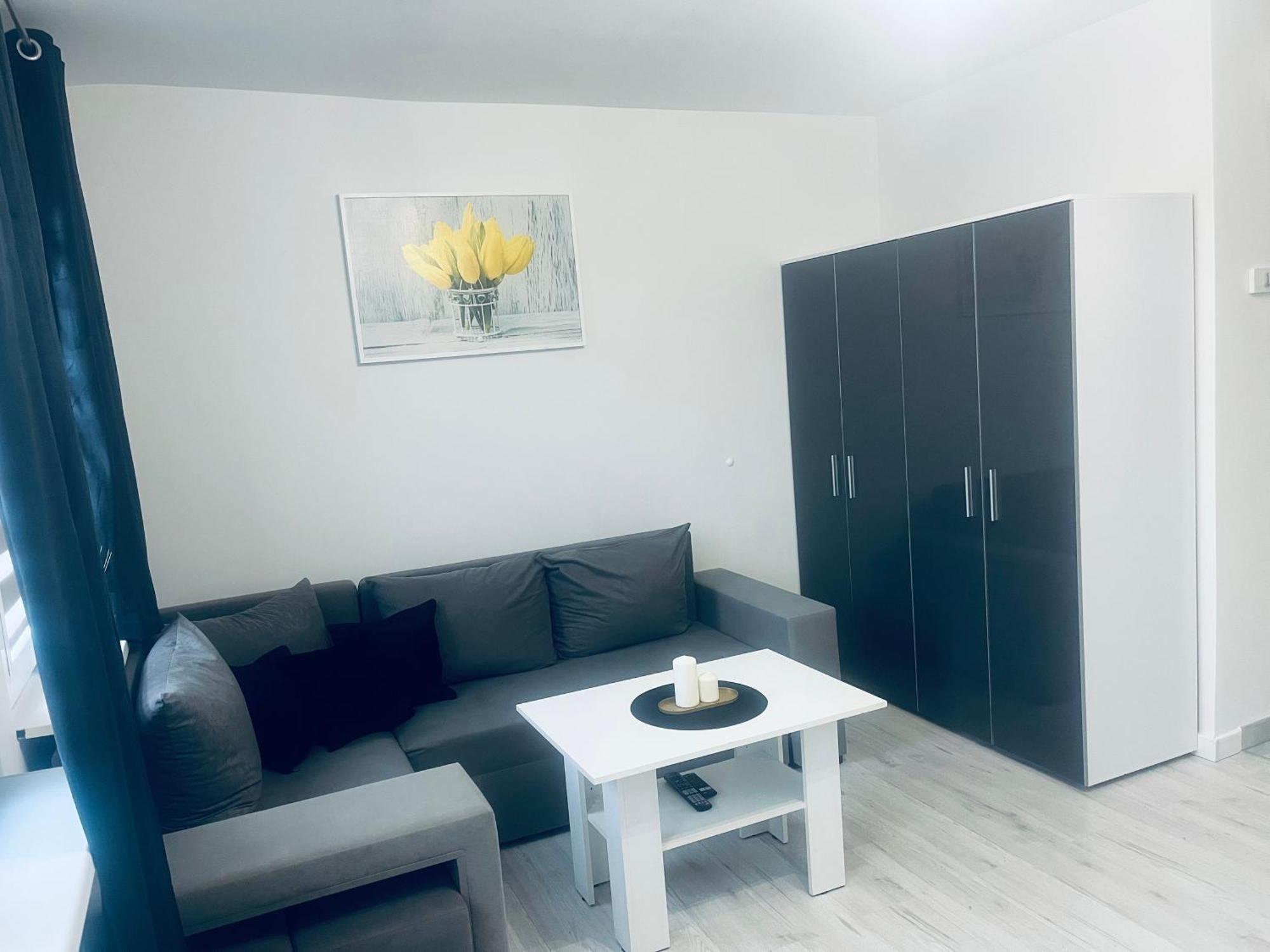 Silver Apartament Κατοβίτσε Εξωτερικό φωτογραφία